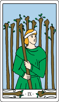 9 der Stäbe